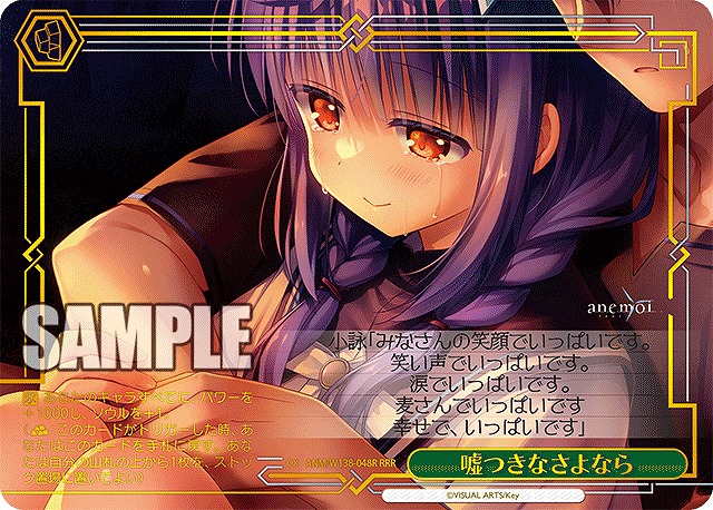 嘘つきなさよなら (RRR) 【ANM/W138-048RRR】